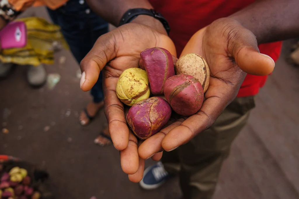 La nuez de kola en África Occidental – economía, ritual y cosmovisión