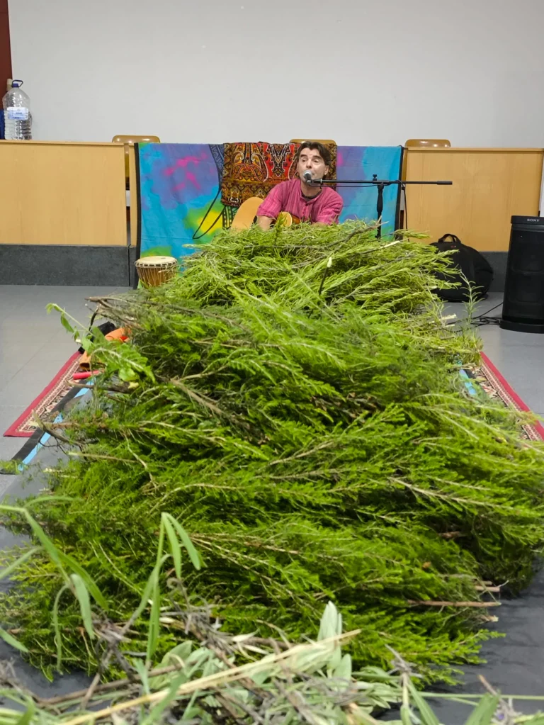 Montón de ramas verdes preparadas sobre una mesa en un aula